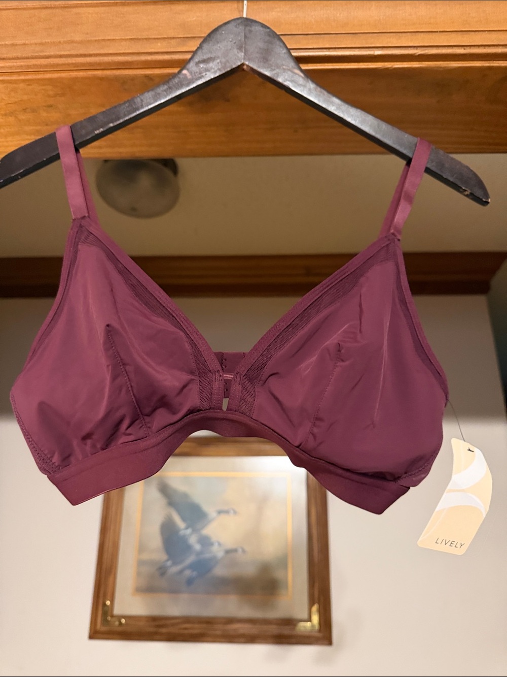 Lively Wirefree Bra in Plum